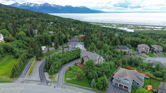 16268 Noble Point Dr, Anchorage, AK 99516 - drone / aerial view of a heavily wooded area and a water and mountain view