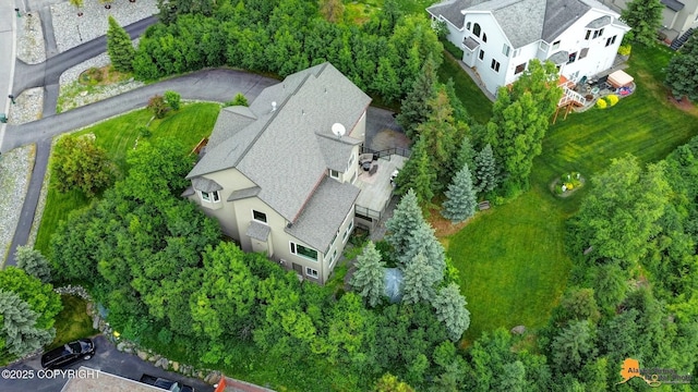 16268 Noble Point Dr, Anchorage, AK 99516 - aerial view of property and surrounding area