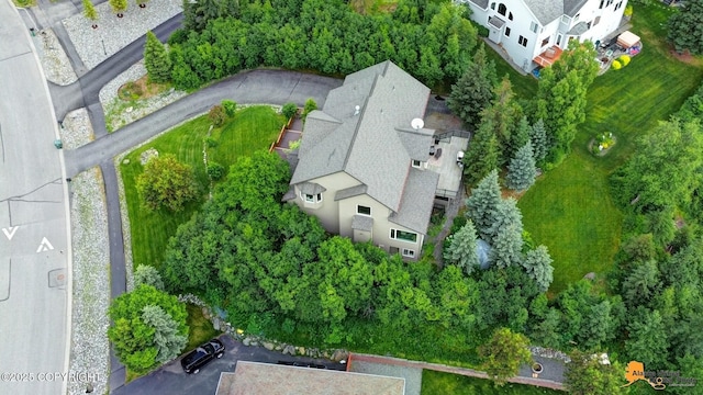 16268 Noble Point Dr, Anchorage, AK 99516 - view of subject property
