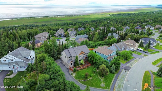 16268 Noble Point Dr, Anchorage, AK 99516 - aerial perspective of suburban area featuring a forest