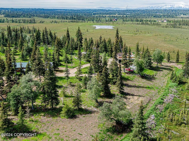 bird's eye view with a rural view