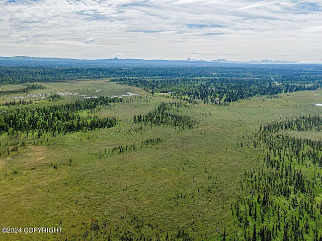 bird's eye view featuring a rural view