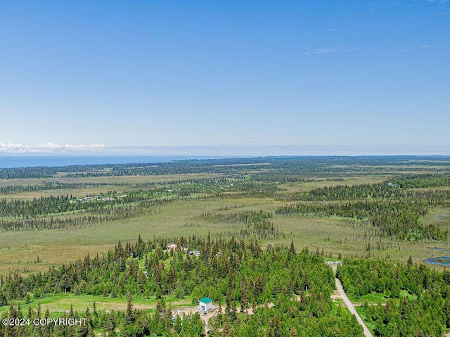 drone / aerial view featuring a rural view