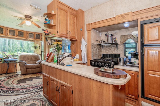 kitchen featuring gas stove, ceiling fan, sink, and a healthy amount of sunlight