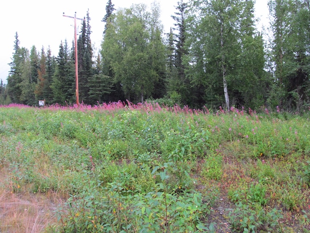 Listing photo 2 for 53135 Sterling Hwy, Kasilof AK 99610