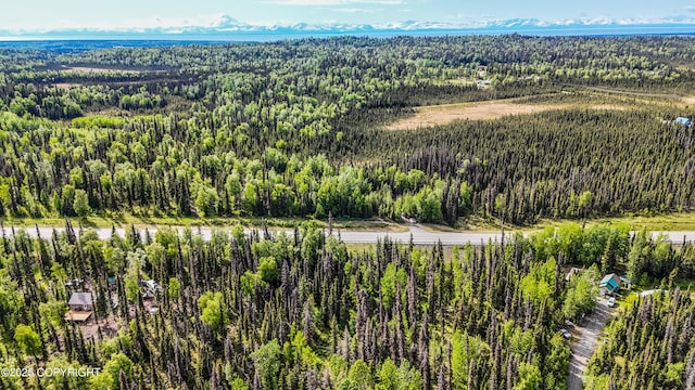 53135 Sterling Hwy, Kasilof, AK 99610