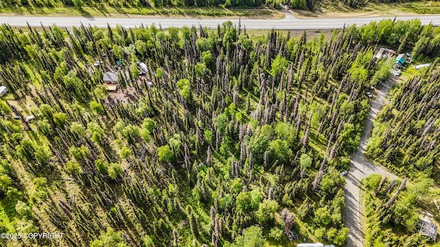 53135 Sterling Hwy, Kasilof, AK 99610