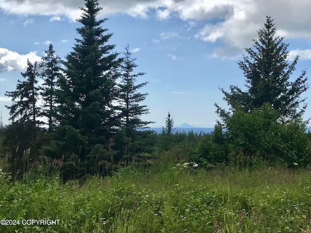 40285 Sterling Hwy, Homer AK, 99603 land for sale