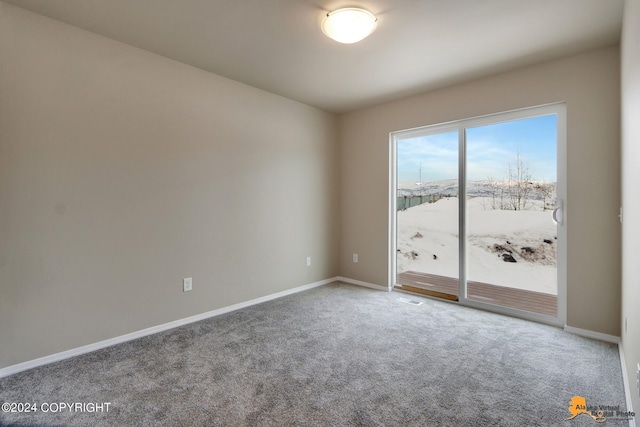 spare room featuring carpet floors