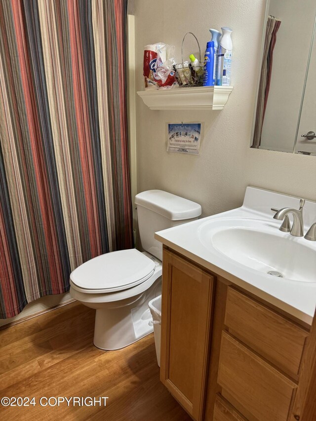 34335 Keystone Dr, Soldotna, AK 99669 - bathroom featuring wood finished floors, vanity, and curtained shower