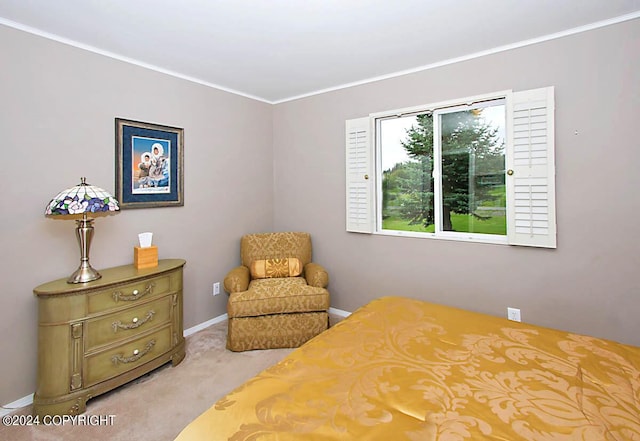 carpeted bedroom with baseboards