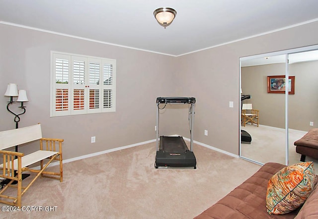 exercise area featuring crown molding, carpet, and baseboards