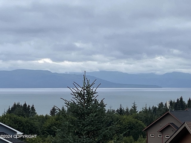 water view featuring a mountain view