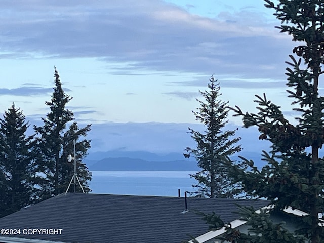 property view of mountains with a water view