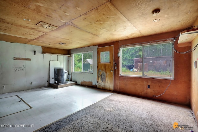 misc room featuring a healthy amount of sunlight and wood walls