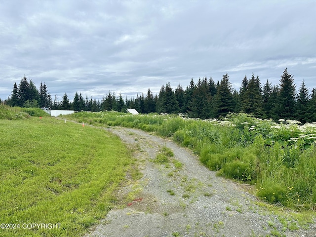 64675 Leandra Rd, Homer, AK 99603