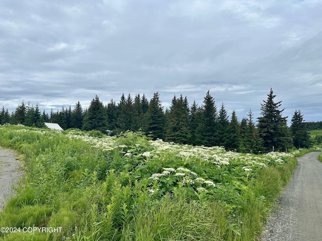 64675 Leandra Rd, Homer, AK 99603