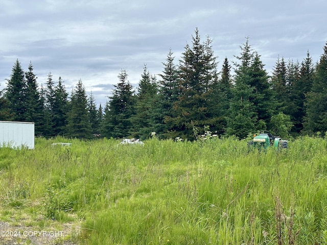 64675 Leandra Rd, Homer, AK 99603