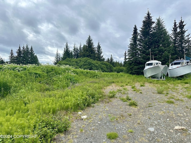 64675 Leandra Rd, Homer, AK 99603