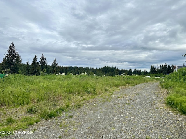 64675 Leandra Rd, Homer, AK 99603