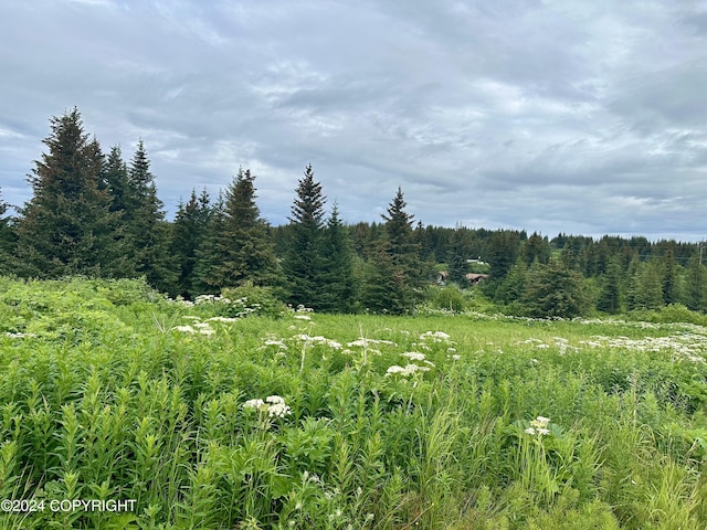 64675 Leandra Rd, Homer, AK 99603