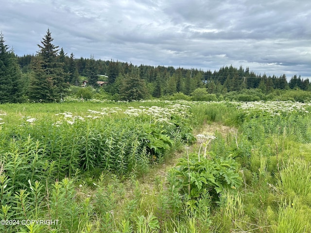 64675 Leandra Rd, Homer, AK 99603