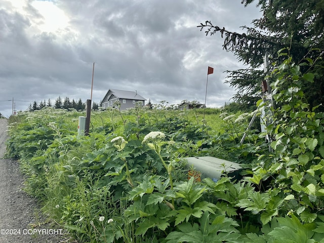 64675 Leandra Rd, Homer, AK 99603
