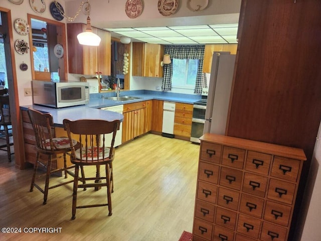 kitchen featuring stainless steel appliances, light hardwood / wood-style floors, decorative light fixtures, and sink