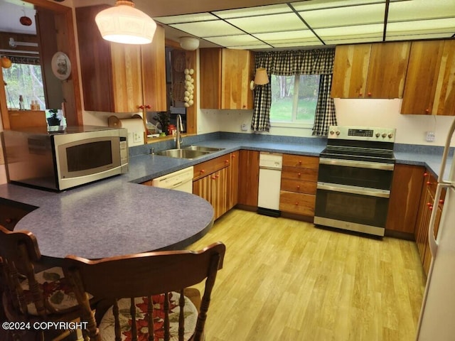 kitchen featuring stainless steel appliances, plenty of natural light, sink, and light hardwood / wood-style flooring