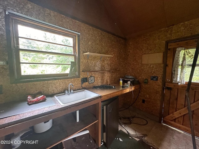 misc room featuring lofted ceiling and sink