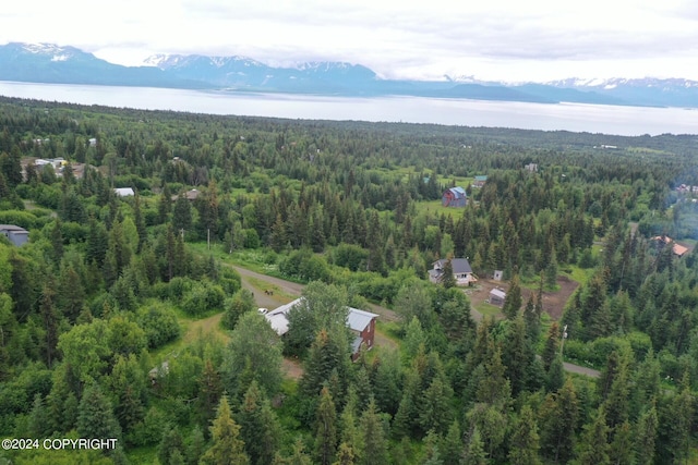 birds eye view of property featuring a mountain view