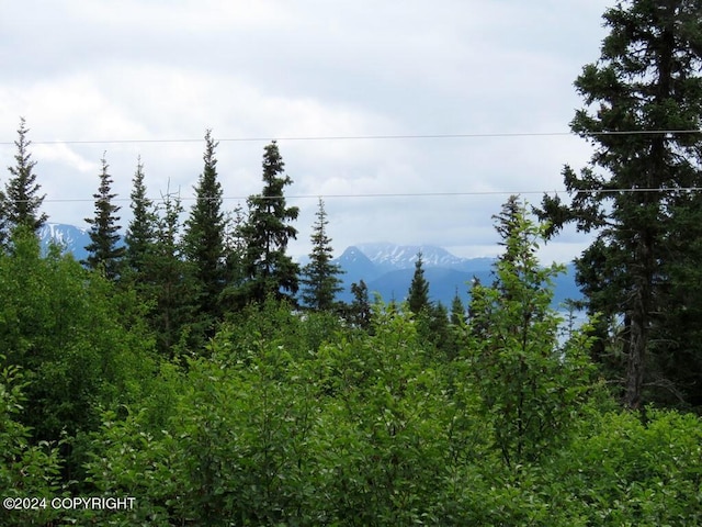 view of local wilderness with a mountain view