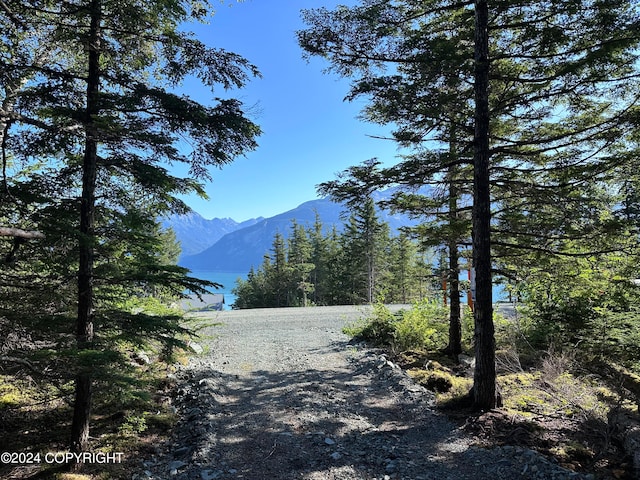 Listing photo 3 for L6BC Skyline Dr, Haines AK 99827