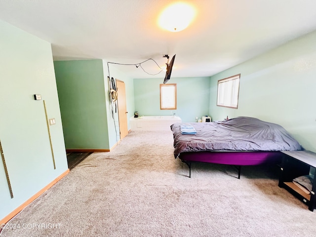 bedroom featuring carpet floors