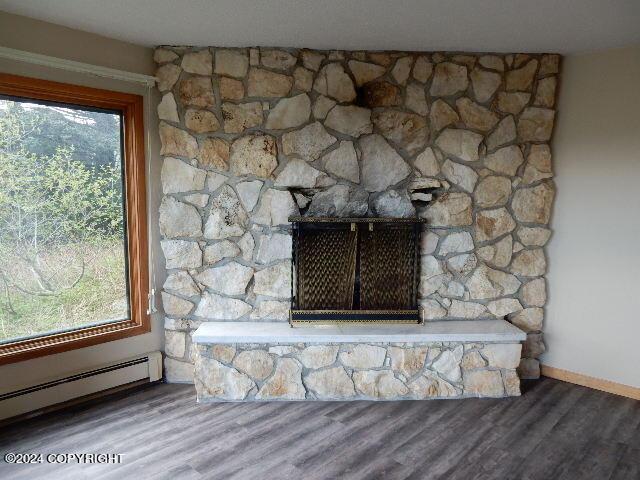 details featuring a stone fireplace, a baseboard radiator, and wood-type flooring