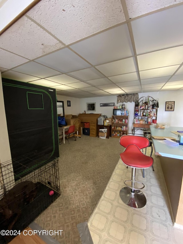 interior space featuring carpet floors and a drop ceiling