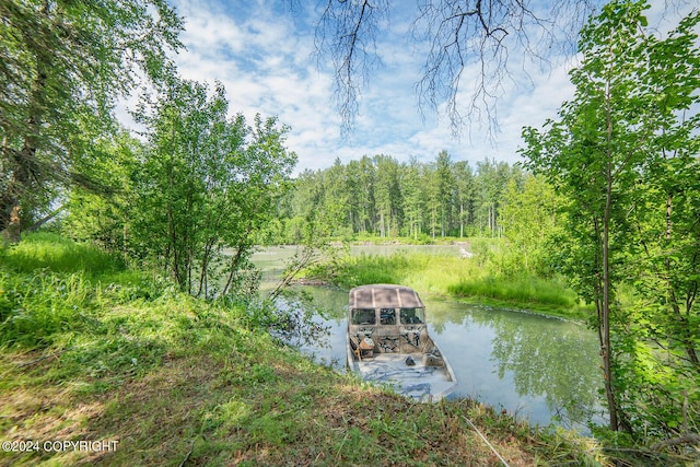 dock area featuring a water view and a view of trees