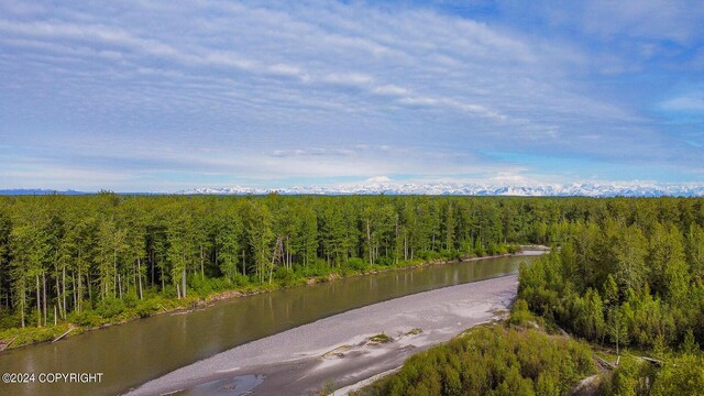 bird's eye view featuring a water view and a forest view