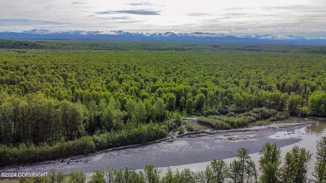 aerial view with a mountain view and a wooded view