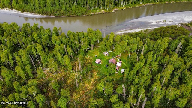 birds eye view of property with a water view and a forest view