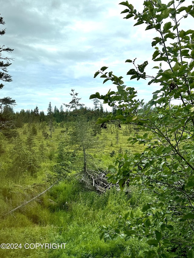 view of nature