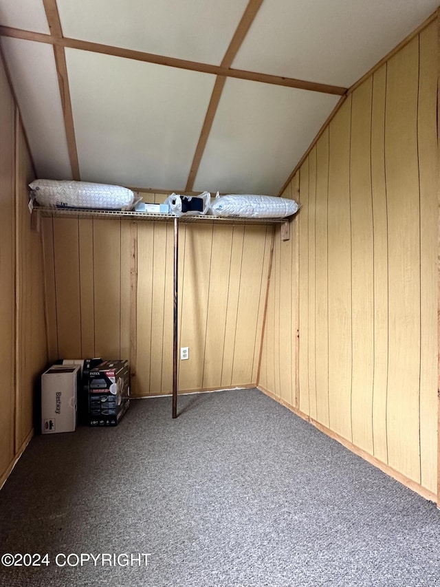 interior space featuring carpet floors and wood walls