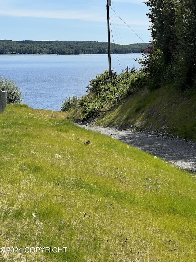 property view of water