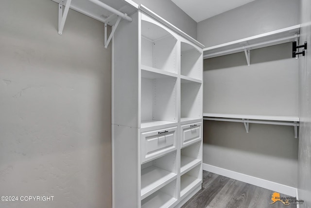 walk in closet with dark wood-type flooring