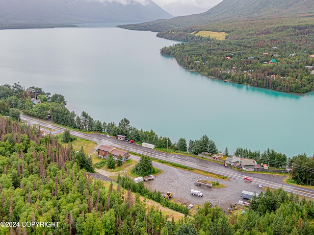 birds eye view of property with a water and mountain view