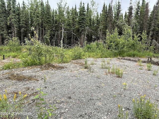 36566 Estelle Ct, Soldotna, AK 99669 - photo 8