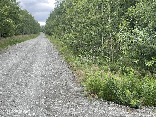 36566 Estelle Ct, Soldotna, AK 99669 - photo 2