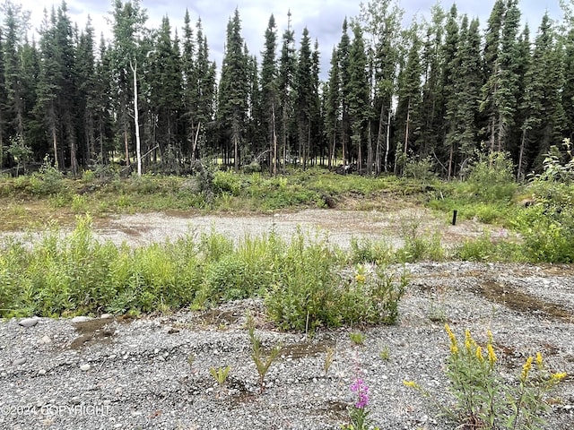 36566 Estelle Ct, Soldotna, AK 99669 - photo 7