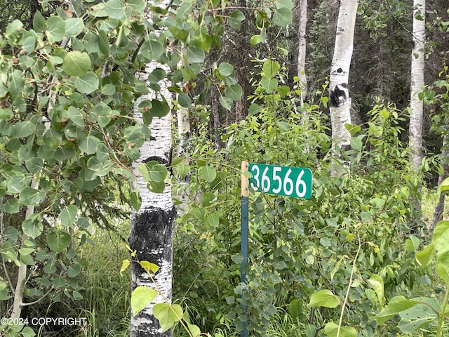 36566 Estelle Ct, Soldotna, AK 99669 - photo 12