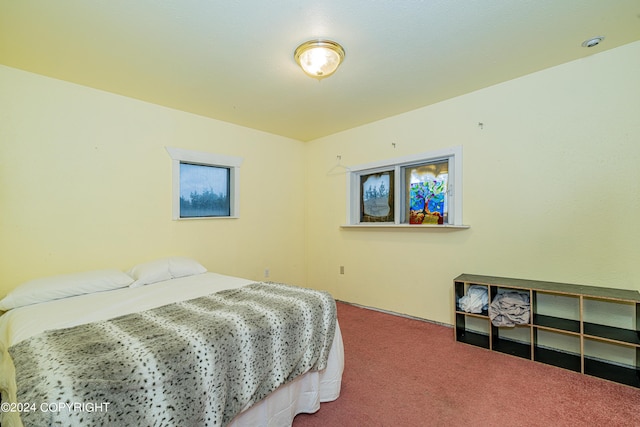 bedroom featuring carpet